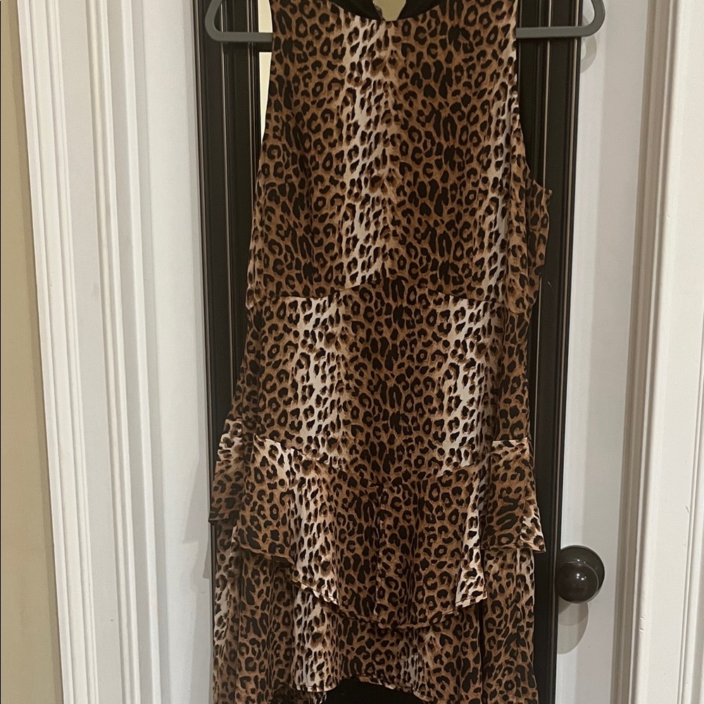 19 Cooper Leopard Print Dress